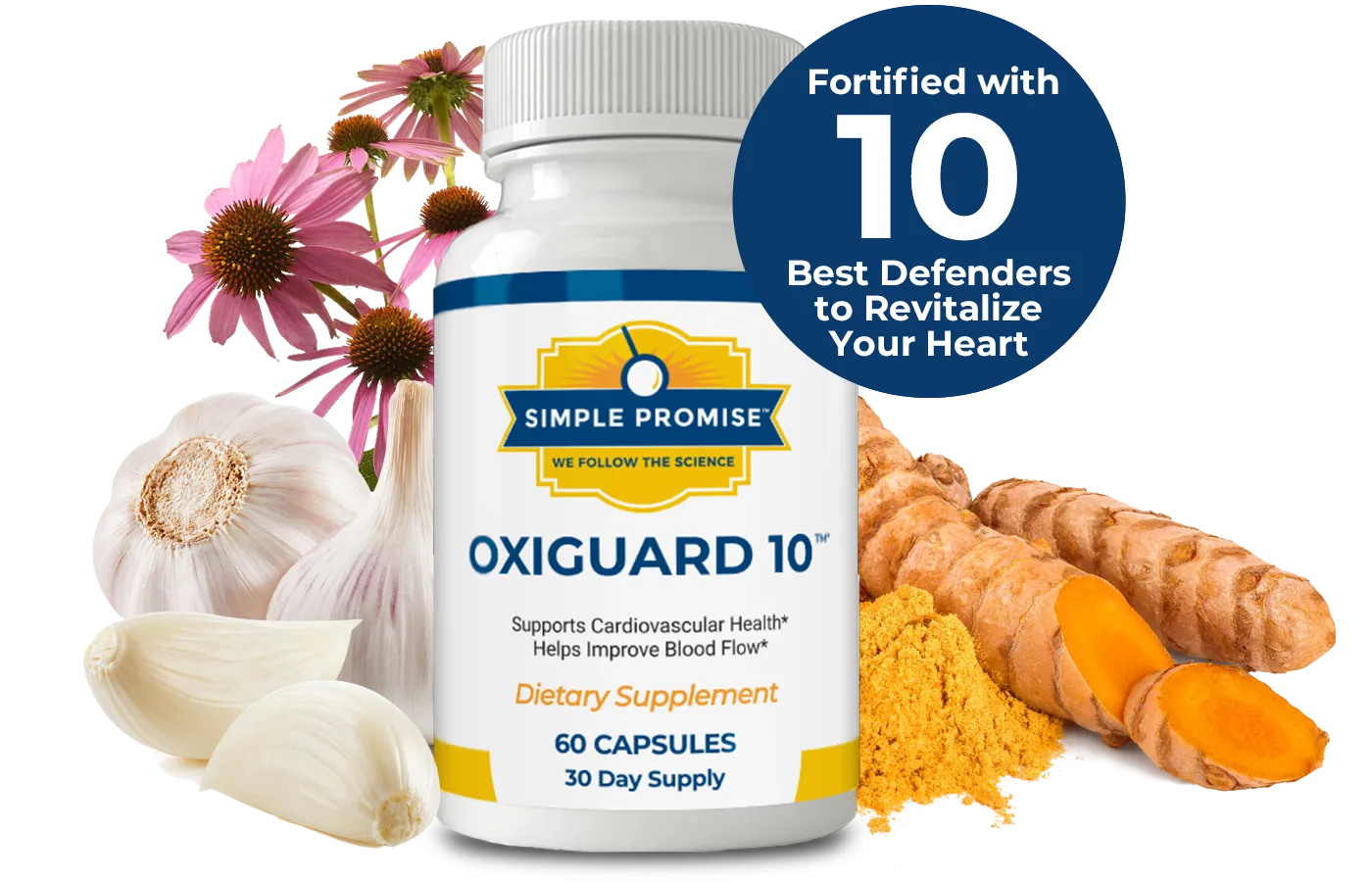 OxiGuard 10